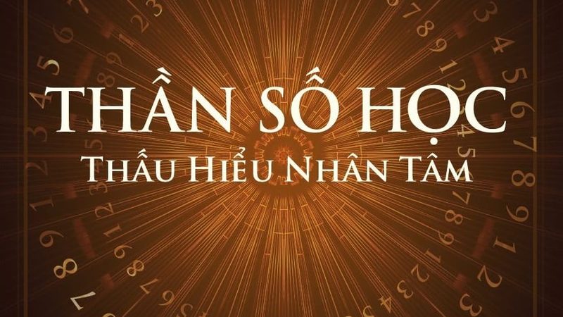 性价比之选：揭秘地砖品牌如何考量